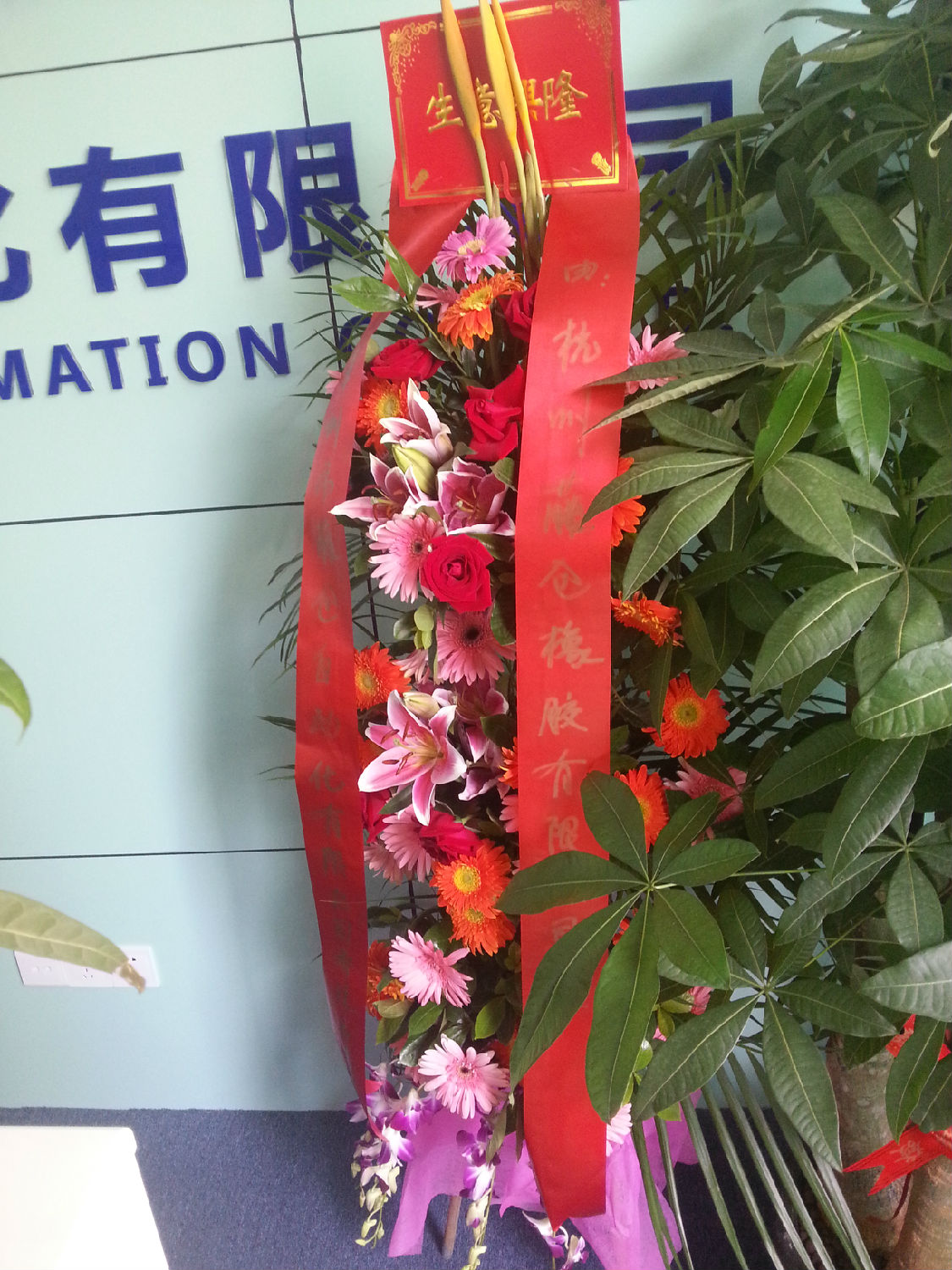 杭州藤倉橡膠 杭州藤倉橡膠